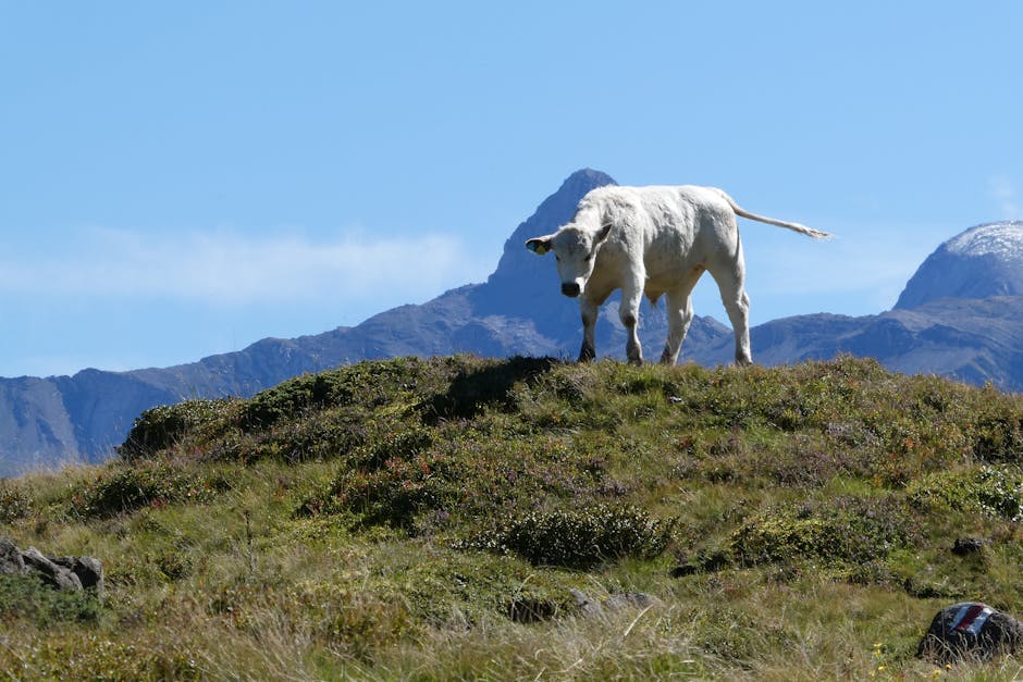 Обучение инвестированию